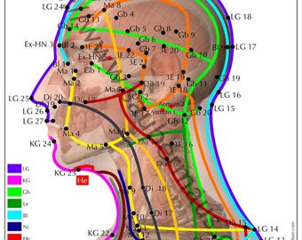 Cabeça de pôster Shiatsu DIN A3 (para download)