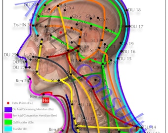 Cartaz de Shiatsu Cabeça DIN A3 (como Download)