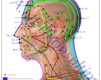 Cartaz de acupuntura Cabeça DIN A3 (para download)