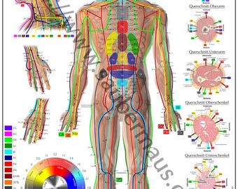 Cartaz de Shiatsu DIN A1 (para download)