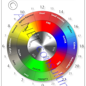 Traditional Chinese medicine poster Organ clock DIN A3 (as download)