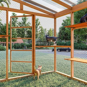 Puede incluir: Un recinto para gatos de madera con m&uacute;ltiples niveles y un cerramiento de malla. La estructura presenta varios gatos, uno en una estanter&iacute;a y otros explorando el interior. El recinto est&aacute; situado en una zona exterior con c&eacute;sped.