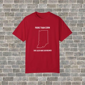 Indiana Shirt, Funny Hoosier Shirt, T-shirt, More than corn, Indiana T Shirt