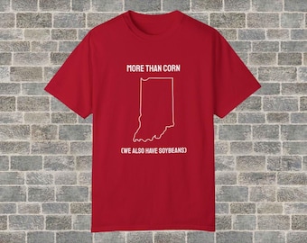 Indiana Shirt, Funny Hoosier Shirt, T-shirt, More than corn, Indiana T Shirt