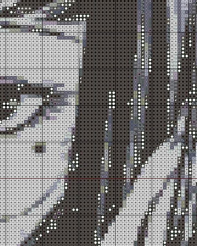 May include: A close-up of a black and white cross-stitch pattern. The pattern features a variety of geometric shapes and designs, including circles, squares, and triangles. The pattern is created using different shades of black and white thread.