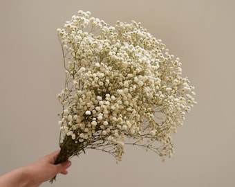 Natural Baby&#39;s Breath Preserved flowers,  Bouquet Decoration, Deried flower Decoration, Wedding Decoration,Vase Filling