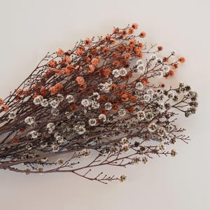 Natural dried flowers,Bouquet decoration,home decoration,Wedding decoration,Vase fillin