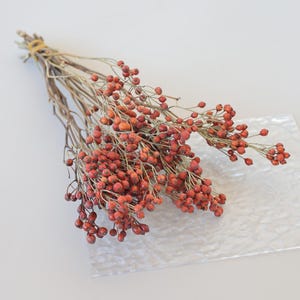 Dried Fruit bundle Natural Rosehip Branches Dried Flower Arrangement