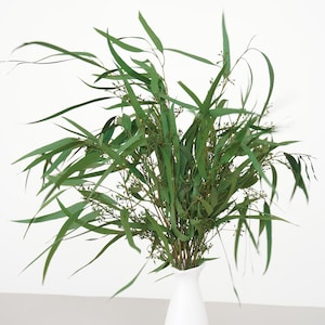 Feather Willow Eucalyptus,Preserved Eucalyptus Nicholii, Wedding Decoration,Vase Filling