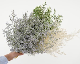 Natural dried flower Preserved Caspia,Bouquet Decoration, Home Decoration Dried Limonium