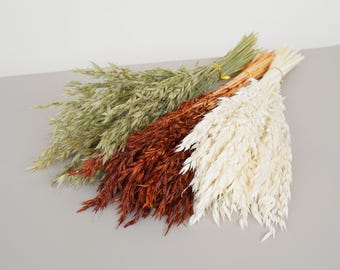 May include: A bouquet of dried oat grass in three colors: green, brown, and white. The stems are tied together with a gold ribbon.