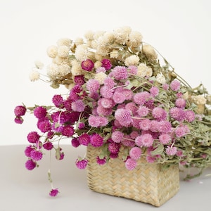 May include: A wicker basket filled with a bouquet of dried flowers. The flowers are a mix of white and pink, with the pink flowers being more prominent. The flowers are arranged in a loose, natural style.
