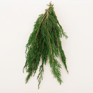 May include: A bunch of green cedar sprigs tied together with twine. The sprigs are long and slender, with a feathery texture.