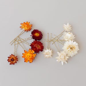 Daisy Dried Flowers Hair Pin,Bridal Hair pin, Rustic Boho Bridal Hair Piece, Bridal Wedding Hair Accessories