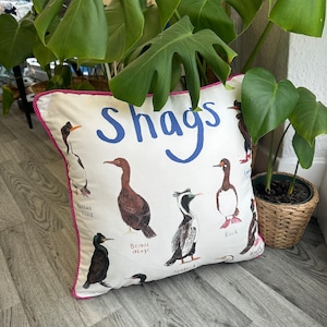 May include: A white throw pillow with a pink border features a colorful illustration of different types of shags, a type of seabird. The pillow has the word "Shags" printed in blue lettering.