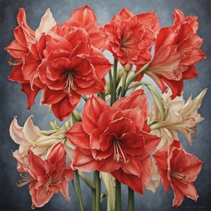 Amaryllis blooms Waterproof Vinyl Fabric canvas HD Print, Wall Home decor, Ready to hang