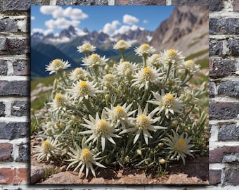 Edelweiss blooms Waterproof Vinyl Fabric canvas HD Print, Wall Home decor, Ready to hang