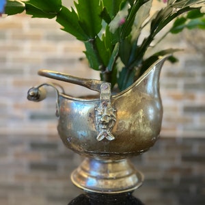 May include: A vintage brass planter with a handle and a decorative lion's head. The planter holds a green plant with spiky leaves. The brass has a tarnished appearance, giving it a rustic, antique look.