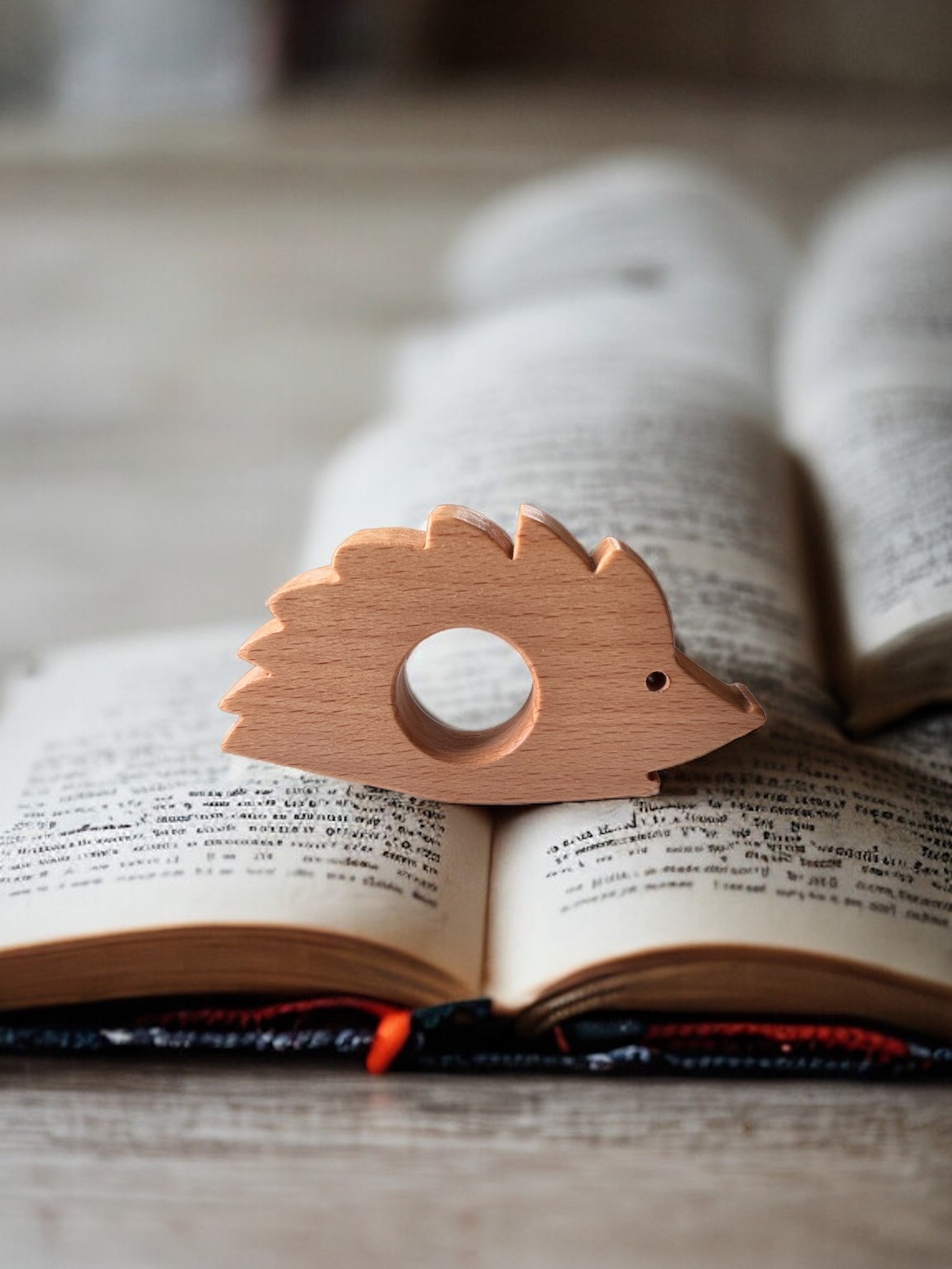 Hedgehog Reading Rings - Etsy