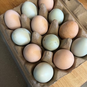 Farm-Fresh Free Range Chicken Eggs from Lone Wolf Acres Locally Sourced Goodness 1 dozen image 3