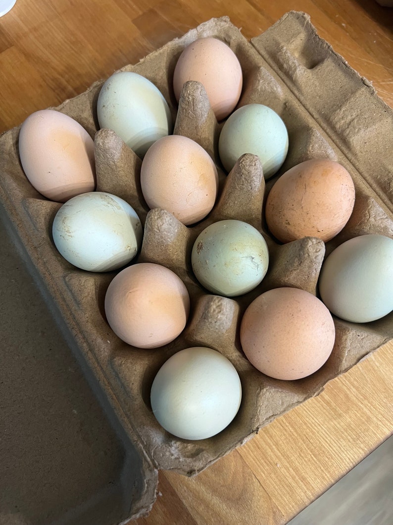 Farm-Fresh Free Range Chicken Eggs from Lone Wolf Acres Locally Sourced Goodness 1 dozen image 3