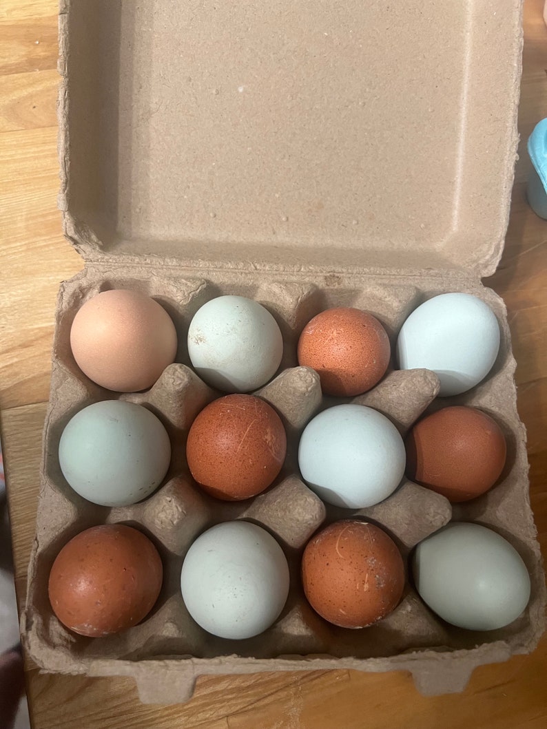 Farm-Fresh Free Range Chicken Eggs from Lone Wolf Acres Locally Sourced Goodness 1 dozen image 7