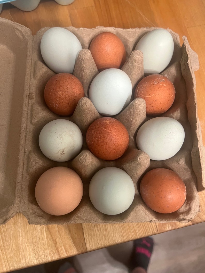 Farm-Fresh Free Range Chicken Eggs from Lone Wolf Acres Locally Sourced Goodness 1 dozen image 6