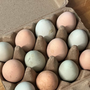Farm-Fresh Free Range Chicken Eggs from Lone Wolf Acres Locally Sourced Goodness 1 dozen image 1