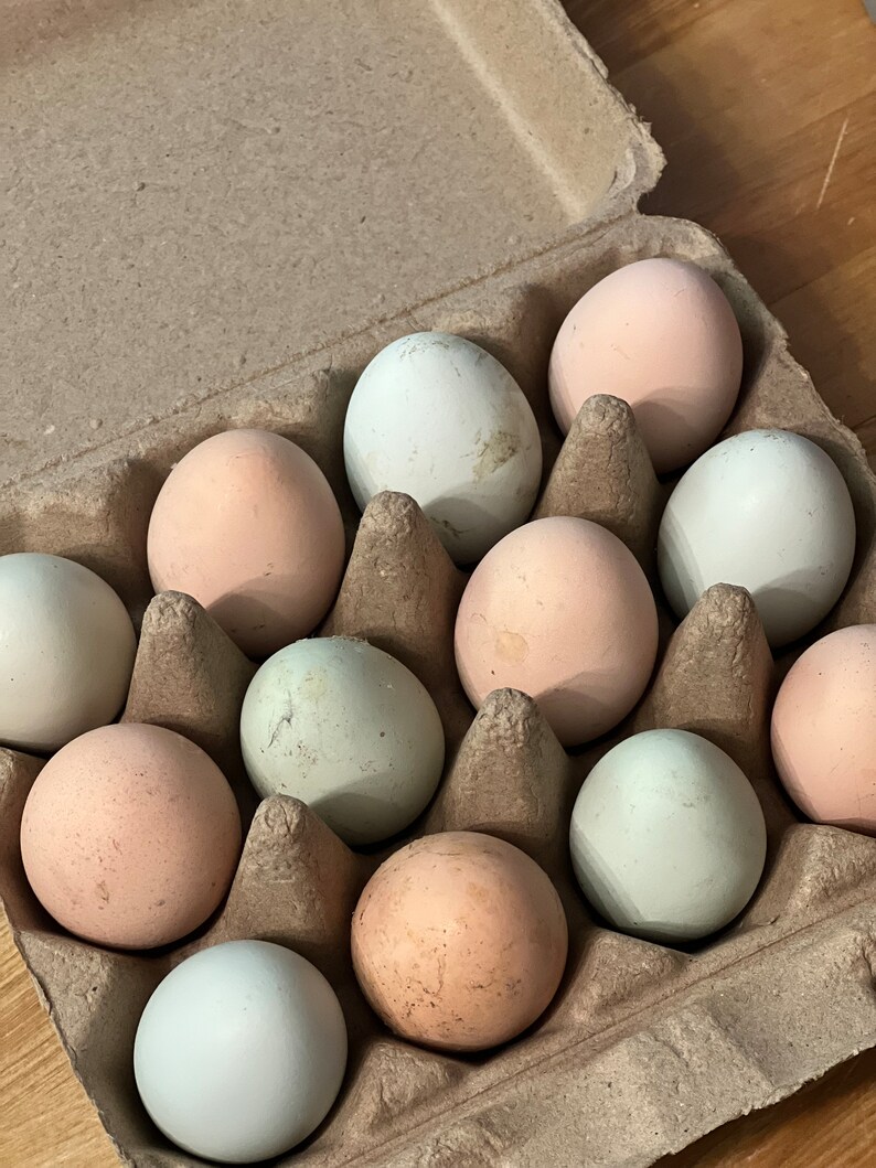 Farm-Fresh Free Range Chicken Eggs from Lone Wolf Acres Locally Sourced Goodness 1 dozen image 1