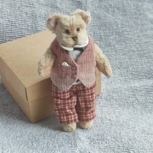 May include: A small, light brown plush teddy bear wearing a pinkish-red plaid vest and matching plaid trousers. The bear has a white collared shirt underneath the vest, a small white pocket square, and a dark bowtie, standing in front of a brown box.