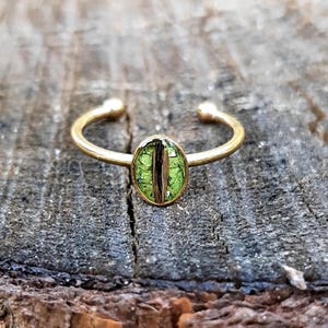 Goldener Ring größenverstellbar, Tierhaarandenken - Andenken Haustier, Erinnerungsstück, Ring mit Fell oder Asche