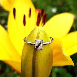 Minimatistischer Ring, Tierhaarandenken silber- oder goldfarben - Andenken Haustier, Erinnerungsstück mit Fell oder Asche