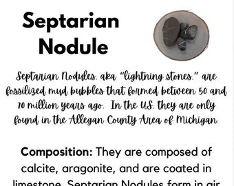 Septarian nodule stone information sheet