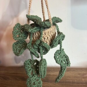 Crocheted Hanging Plant