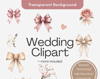 Blush Bow Clipart Set, Lace Trim, Wedding Embellishments (Instant Download)
