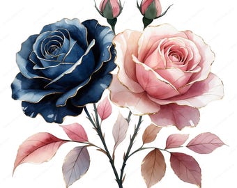 3dRose Pink Roses And Blue Flowers On Elegant Black-Pretty Feminine Vintage Floral Pattern-Girly Flower-Drawing Book, 8 By 8" (db_120217_1