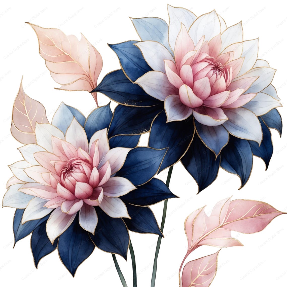24 Navy and Blush Floral Clipart: Wedding Flower Graphics (PNG JPG) - Etsy