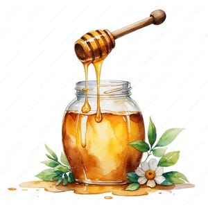 14 Bee Honey Clipart, Honey Clipart, Watercolor Bee Hone, Printable JPGs, Digital Download, Scrapbooking, Junk Journals, Crafting, JPG PNG