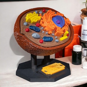May include: A 3D-printed model of an animal cell featuring a brown outer shell, a textured brown cytoplasm, and various coloured organelles including a blue nucleus, orange endoplasmic reticulum, yellow Golgi apparatus, and red and grey vesicles.