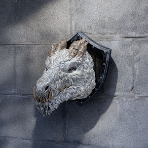 Puede incluir: Una escultura de cabeza de dragón blanco montada en una placa con forma de escudo. El dragón tiene un aspecto texturizado y peludo con una expresión feroz y dientes afilados. La placa es de madera oscura y tiene un borde metálico.