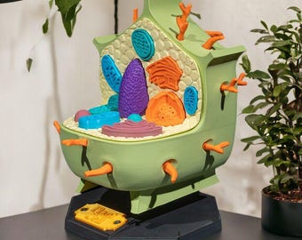 May include: A 3D-printed model of a plant cell featuring a light green exterior, a textured cream-colored interior, and various colorful organelle inserts in purple, orange, and blue. The model sits on a black hexagonal base with a gold-colored plaque.