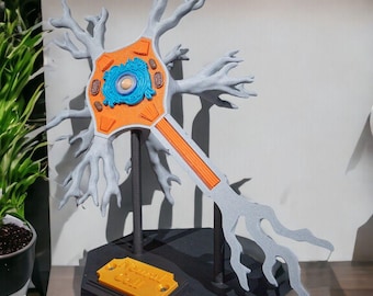 May include: A 3D printed model of a neuron cell featuring a grey branched structure, an orange central body with blue internal details, and brown organelles. The model is mounted on two black pillars atop a black hexagonal base with an orange plaque.
