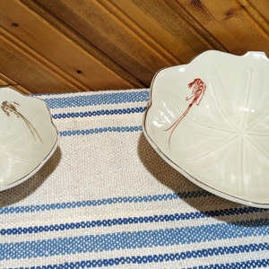 Muschelförmige Garnelenschalen.