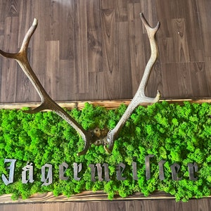 moss picture