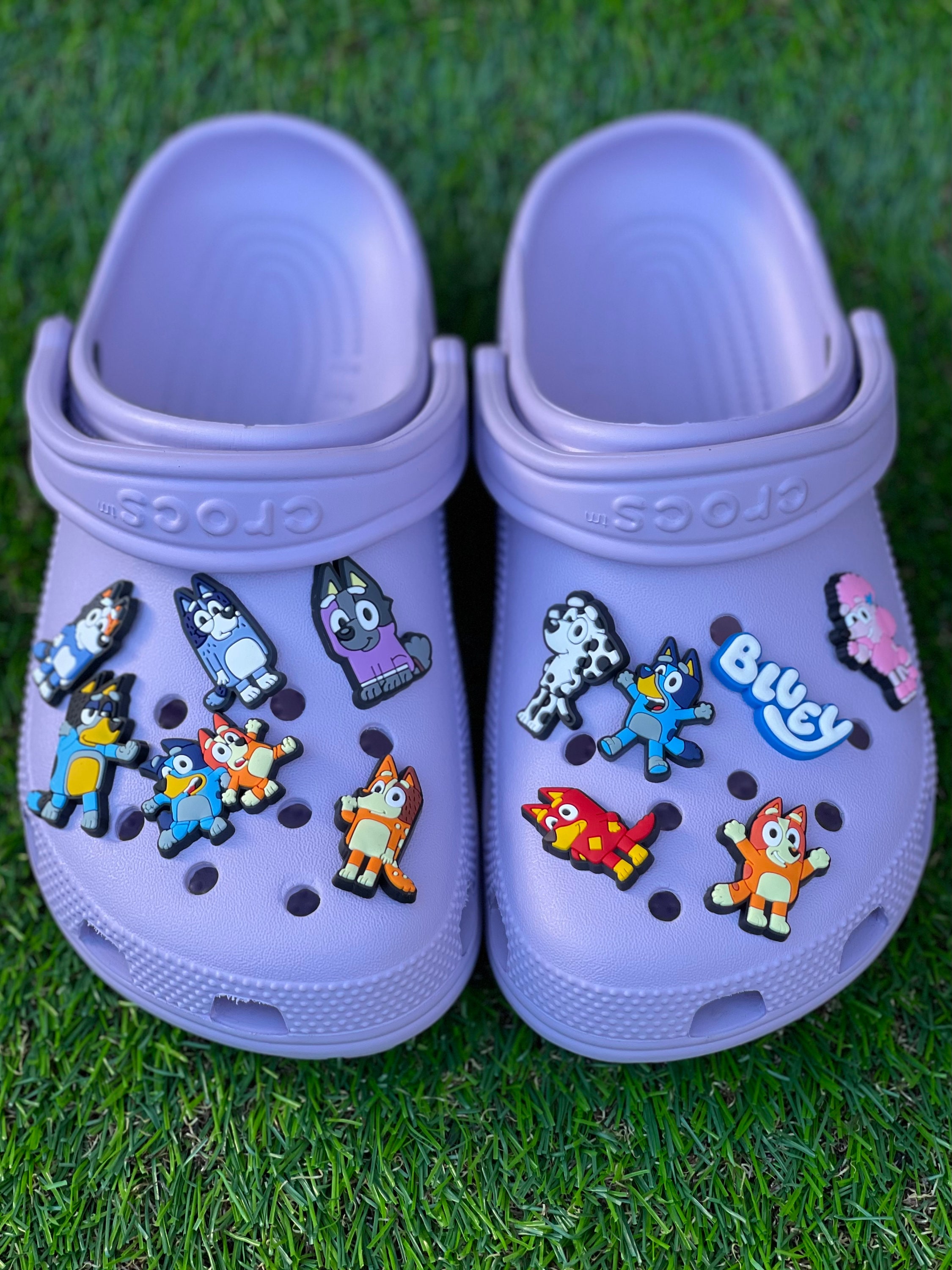 Breloques de chaussures Bluey, chien de dessin animé, bricolage,  accessoires de chaussures drôles, adaptées aux sabots Croc, décorations,  strucunisexe, cadeaux Jibz, ensemble de 30 pièces - AliExpress