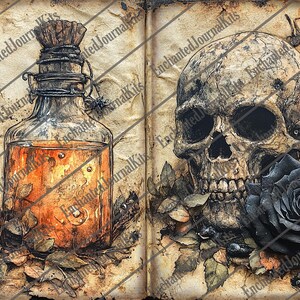 May include: An open book with a vintage, aged paper texture. The left page features a glass bottle with a cork stopper and a dark amber liquid. The right page features a skull with a black rose. The pages are decorated with a vine pattern and the text "Enchanted Journal Kits".
