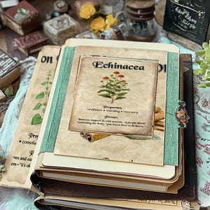 May include: A stack of vintage-style journals and notebooks. The top journal features a botanical illustration of Echinacea with text describing its properties and power. The journals are bound in brown and green, with aged paper pages.