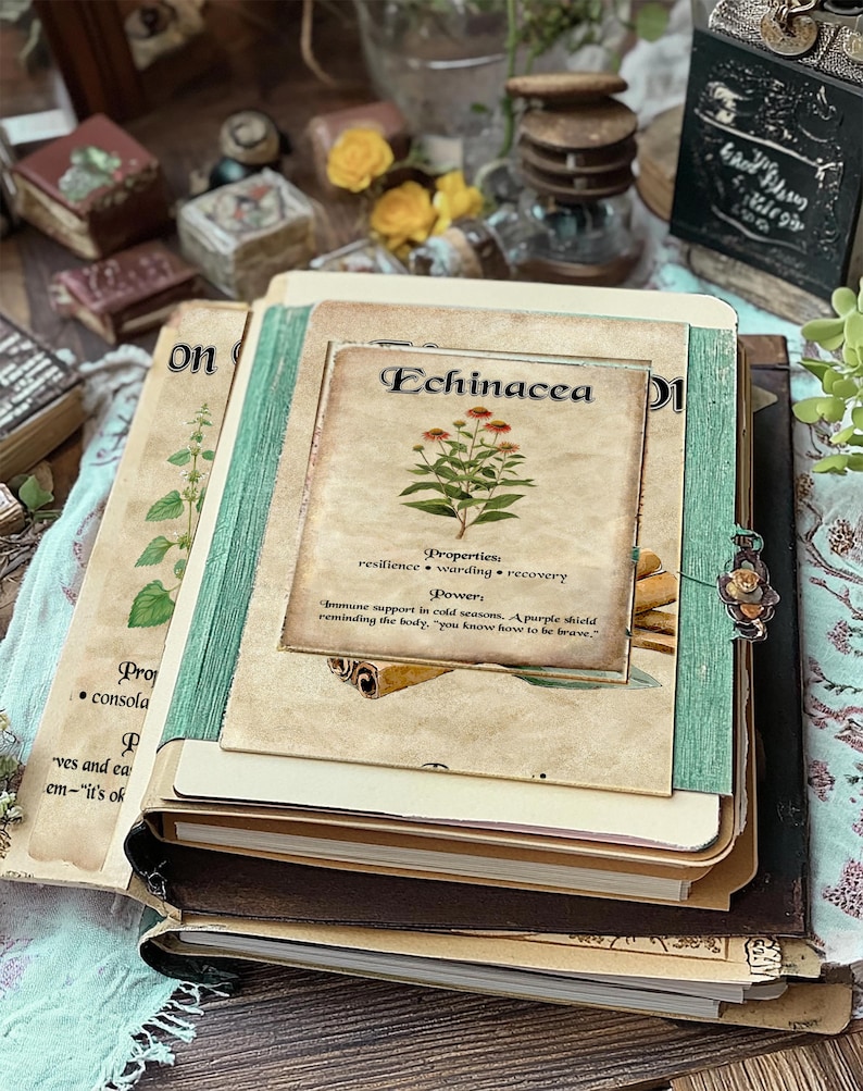 May include: A stack of vintage-style journals and notebooks. The top journal features a botanical illustration of Echinacea with text describing its properties and power. The journals are bound in brown and green, with aged paper pages.
