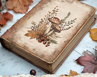 Vintage rustic boho autumn Botanical junkjournal bundle Fall seasonal handmake keepsake Woodland harvest memory journal Wildflower herb kit