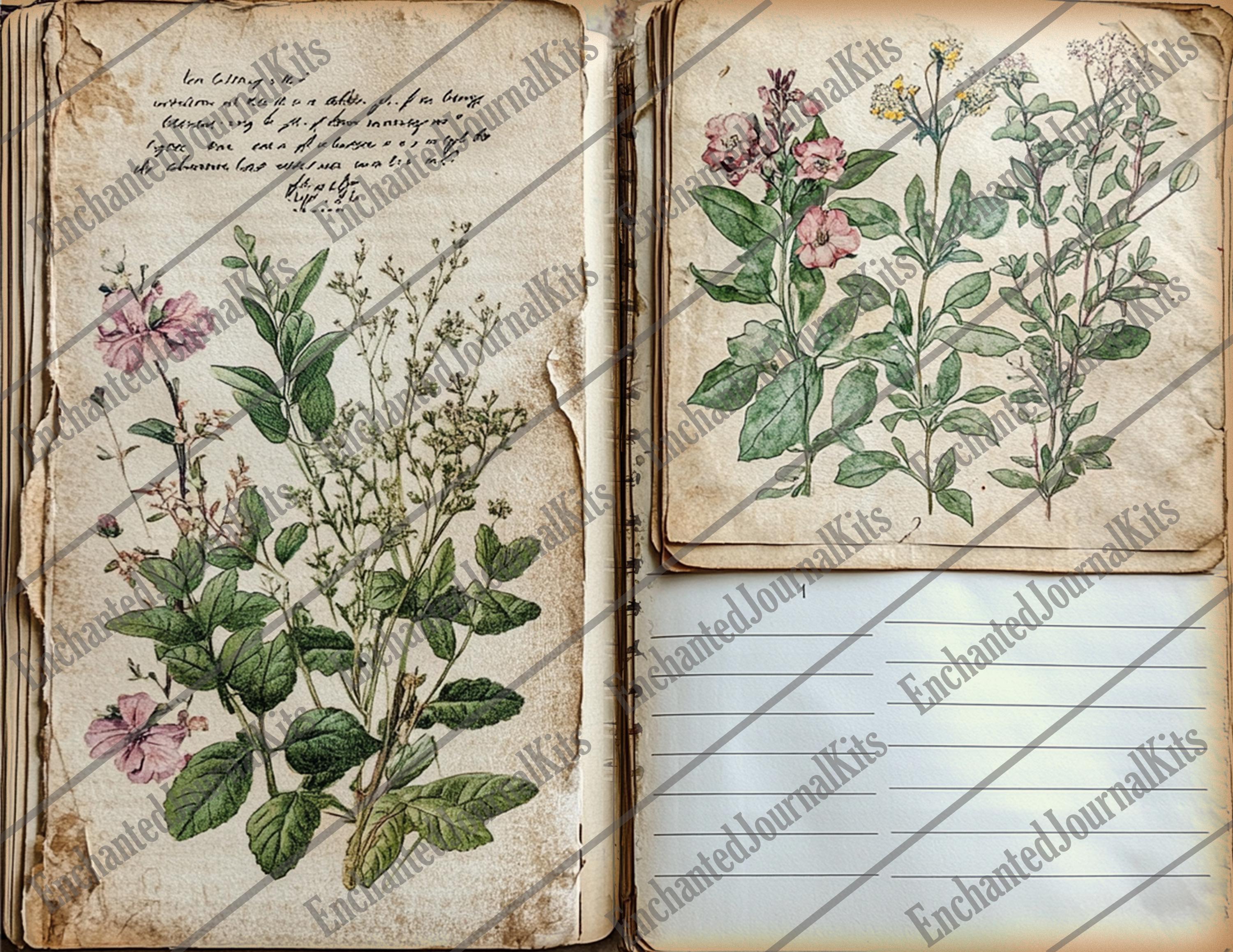 Vintage Botanical Junk Journal Printable Herbal Papers Book Digital ...